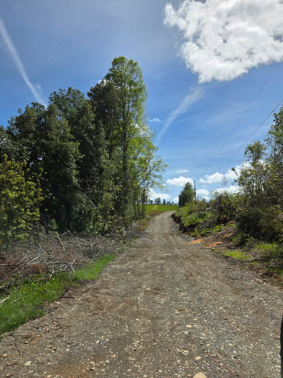 VENTA | Parcela Sector Colga 5.000 m2 - A 15 minutos de Villarrica - Con vertiente natural.