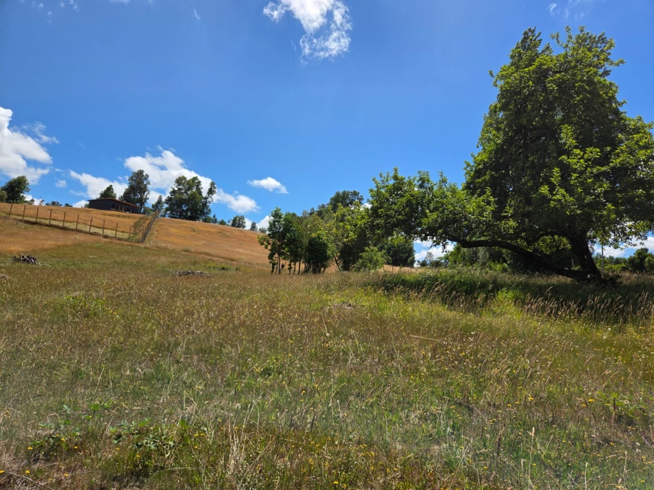 VENTA | Parcela Sector Colga 5.000 m2 - A 15 minutos de Villarrica - Con vertiente natural.